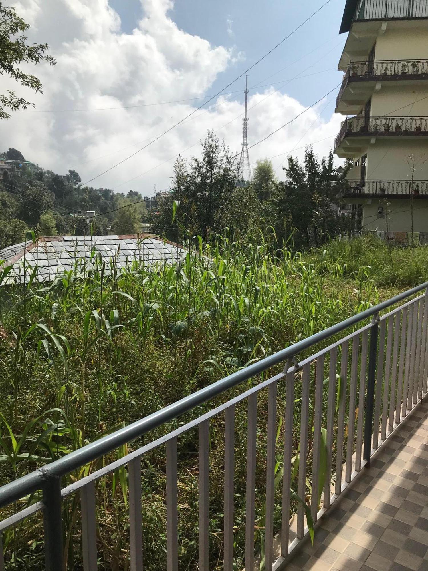 Mcleodganj Diaries Guest House Νταραμσάλα Εξωτερικό φωτογραφία